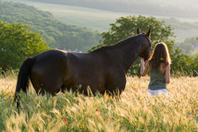 Woman And Horse Training During Sunset
