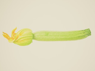 Wall Mural - Retro look Courgettes zucchini