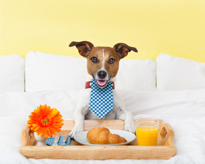 Wall Mural - breakfast in bed