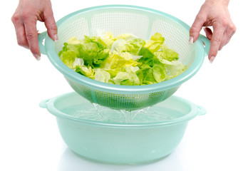 Washing of lettuce in a plastic bowl