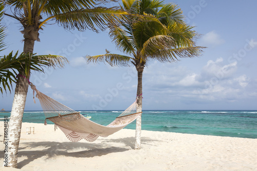 Obraz w ramie Hamak między palmami kokosowymi na tropikalnej plaży
