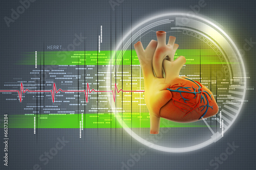 Naklejka na meble Human heart