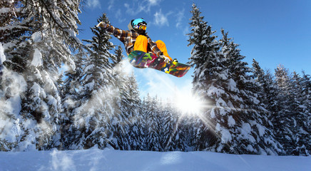 Fototapete - snowboarders in the pine trees