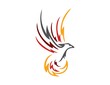 bird logo,phoenix flying symbol,wings icon