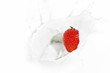 Red strawberry falling into the milky splash