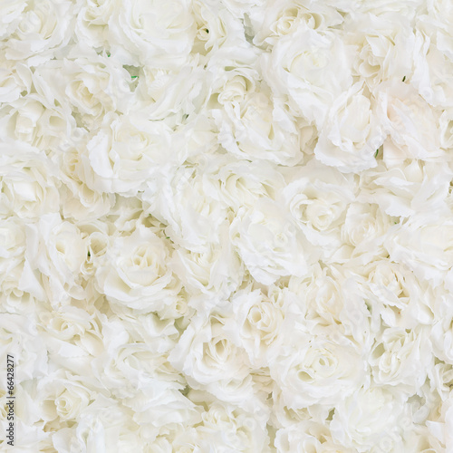 Naklejka dekoracyjna White rose background