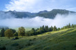 Alpine meadow in the morning fog