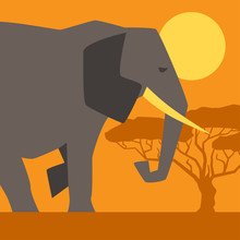 African Ethnic Background With Illustration Of Elephant.