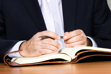 Wall Mural - Businessman with notebook