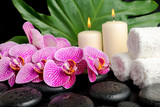 Fototapeta Dziecięca - spa setting of twig stripped violet orchid (phalaenopsis ), zen