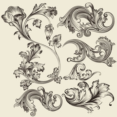 Wall Mural - set of vector flourishes