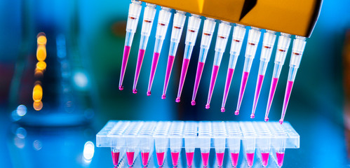 Poster - using multi-channel pipette