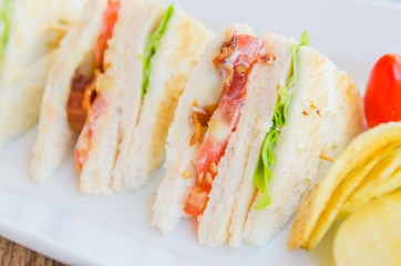 Wall Mural - Club sandwiches