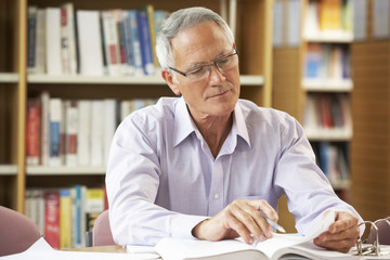 Senior student working in library