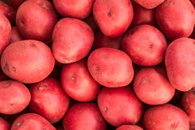 Raw Red Potatoes