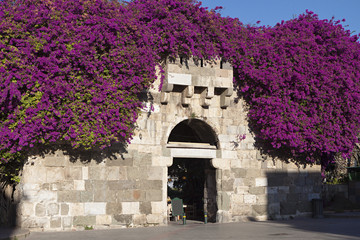 Wall Mural - The ancient castle at Kos island in Greece