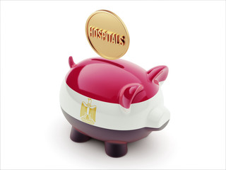 Egypt Hospitals Concept Piggy Concept