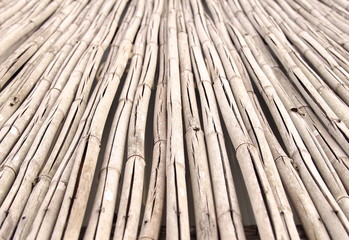  The closeup of a weathered bamboo