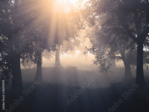 Plakat na papierze fotorealistycznym Ścieżka leśna mysty