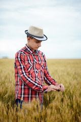 Wall Mural - Teenage boy in a wheat field