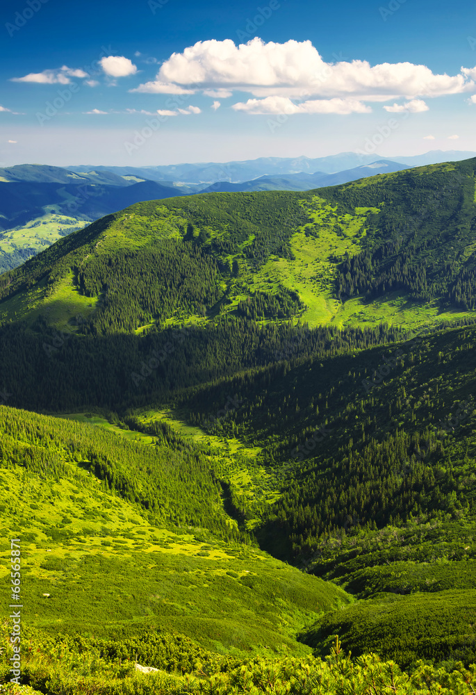 Foto-Schiebegardine mit Schienensystem - Green hills and sky with clouds. Beautiful rural landscape