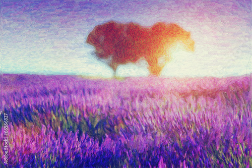 Plakat na zamówienie painting of lavender fields