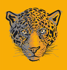 Sticker - Leopard vector illustration