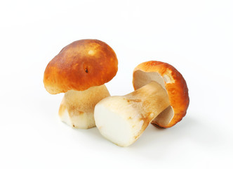 Poster - Fresh edible mushrooms