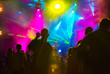 © APHOTOSTUDIO - Crowd Silhouettes and Illumination in a Nightclub.