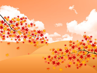 Wall Mural - もみじ　紅葉　背景