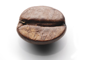 coffee bean in white background