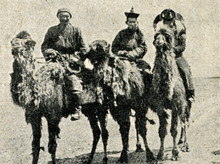 Mongolian Camel Riders Ca. 1920