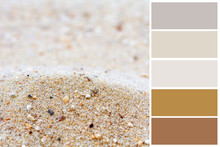 Sand Background Color Palette With Complimentary Swatches.