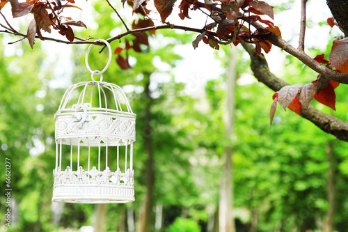 Fotografia White vintage birdcage hanging on branch