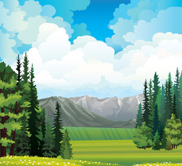 Wall Mural - Nature landscape with field and forest.