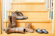 pairs of shoes  in home