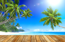 Tropical Paradise Beach