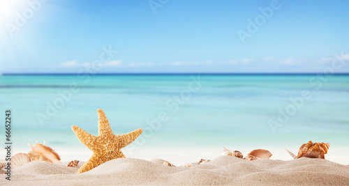 Tapeta ścienna Lato plaża tło