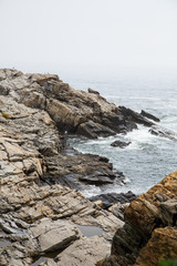 Canvas Print - Rocky Shore of Maine