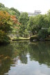 新緑の好古園と姫路城