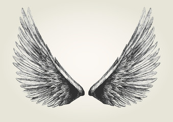 Wall Mural - sketch illustration of wings