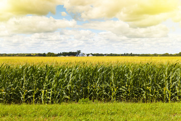 Wall Mural - American Farmland With Blue Cloudy Sky