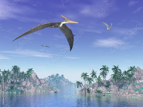 Naklejka samoprzylepna Ptaki pteranodon - 3d render