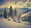 © Andrew Mayovskyy - Beautiful winter landscape in the mountains