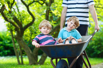 Wall Mural - Two little boys having fun in wheelbarrow pushing by father