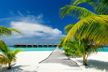 Poster - water bungalows