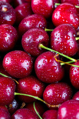 Wall Mural - wet cherries background