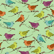 Birds sitting on a branch. Colorful seamless pattern