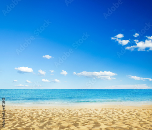 Fotoboard na płycie Plaża i tropikalne morze