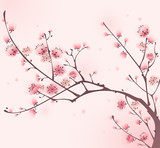 Oriental style painting, cherry blossom in spring